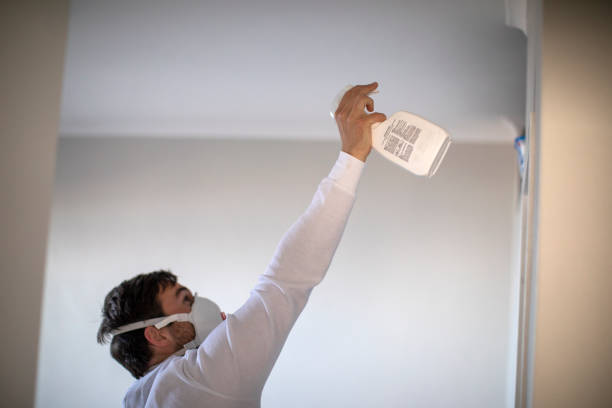 Best Toxic Mold Removal  in La Pine, OR