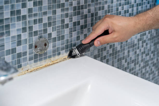 Best Mold Removal Company Near Me  in La Pine, OR