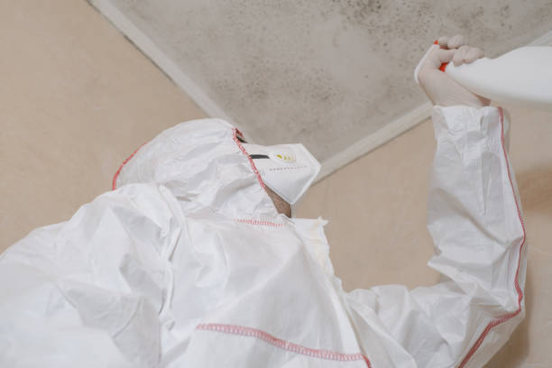 Professional Mold Removal in La Pine, OR